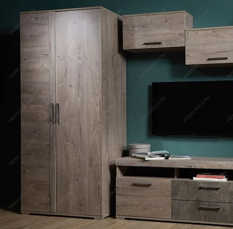 Шкаф Д-1 для одежды глубокий, Денвер (900*523*2020) Риббек серый, 31301 | изображение 1