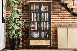 Шкаф-витрина Лофт REG2W1S