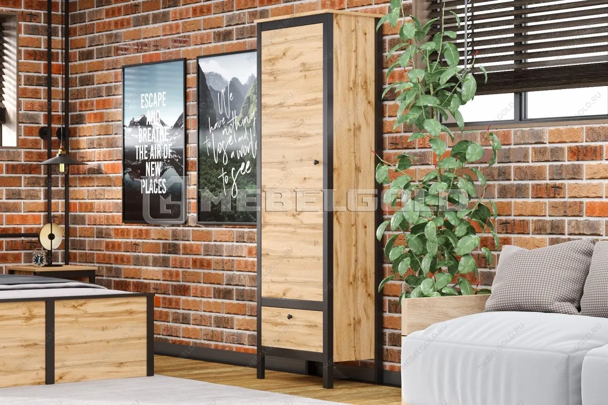 Шкаф Лофт REG1D1S | изображение 2