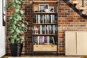 Шкаф-витрина Лофт REG2W1S