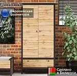 Шкаф Лофт SZF2D1S | изображение 1