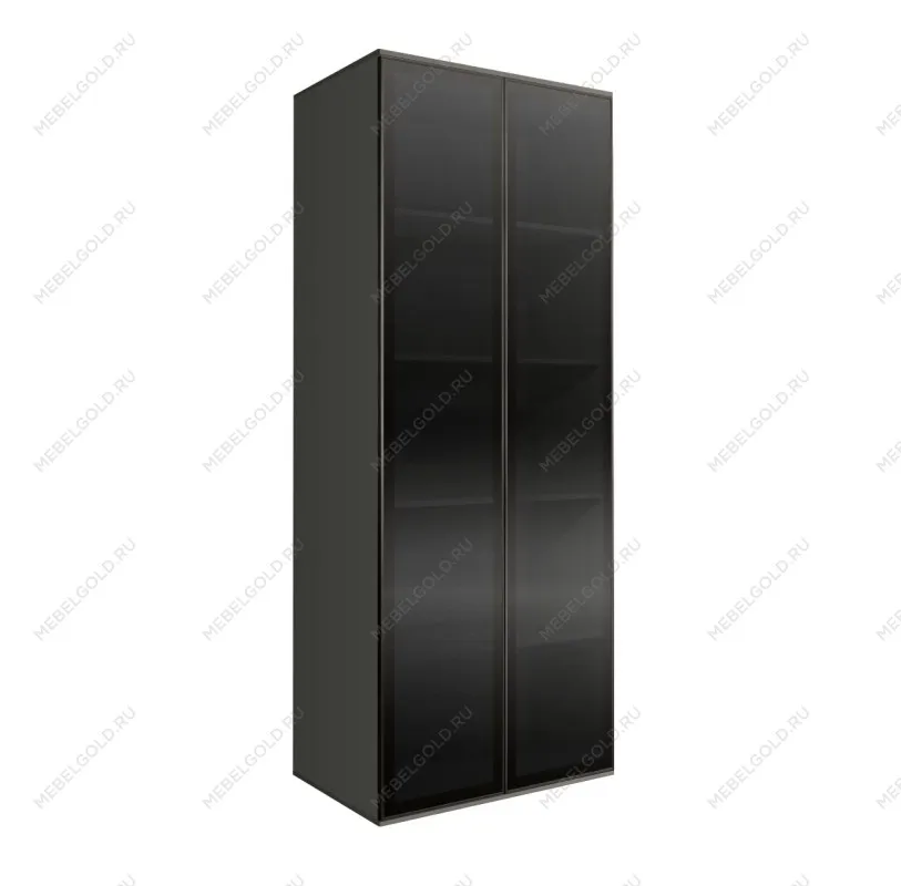 Шкаф 2-х дверный Bogemia Air (Серый/Черный) БМШ2/2(2)