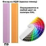 Шкаф Отис МН-039-04 П9 с фасадом МДФ (краска глянец RAL) | изображение 1