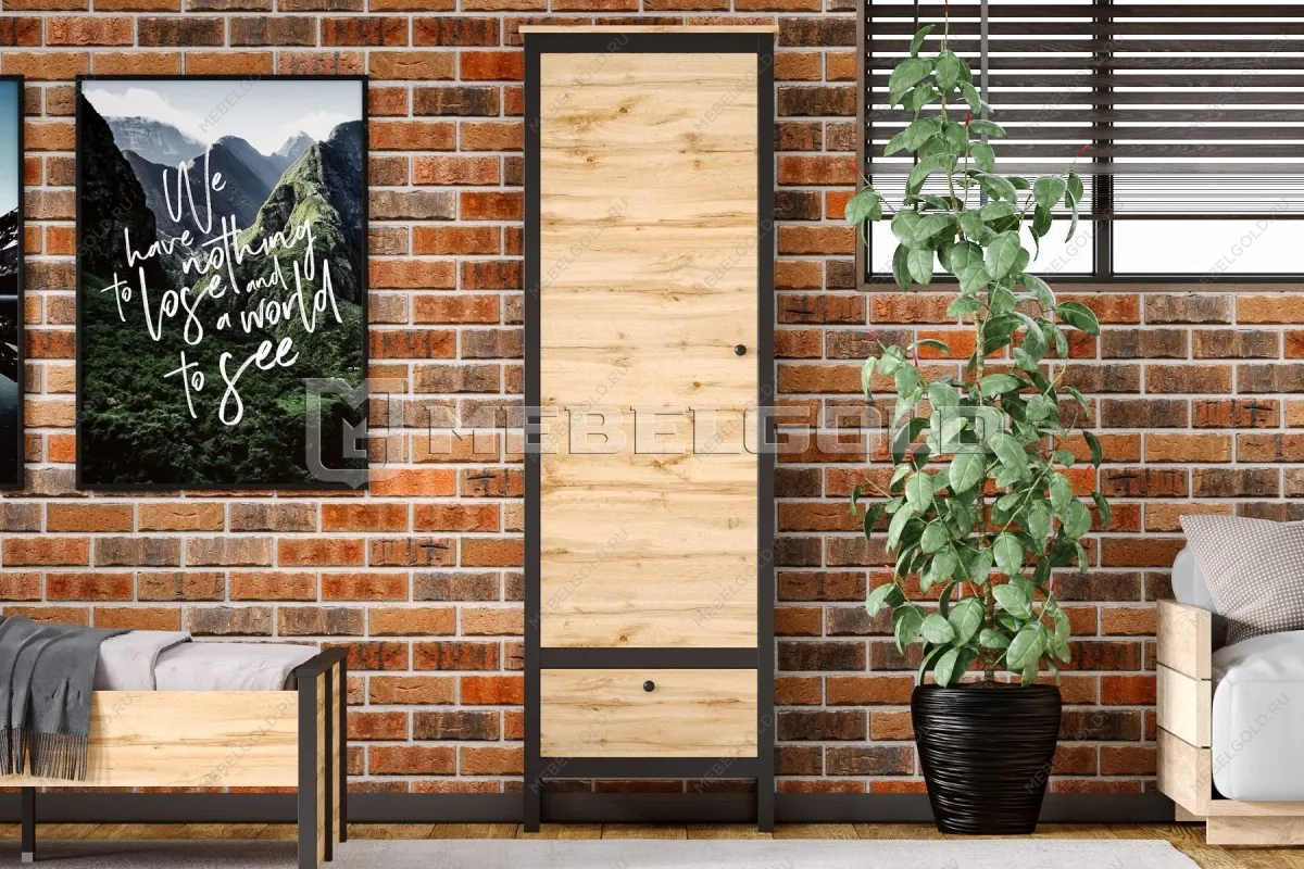 Шкаф Лофт REG1D1S | изображение 1